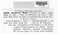 Mycosphaerella rubi image
